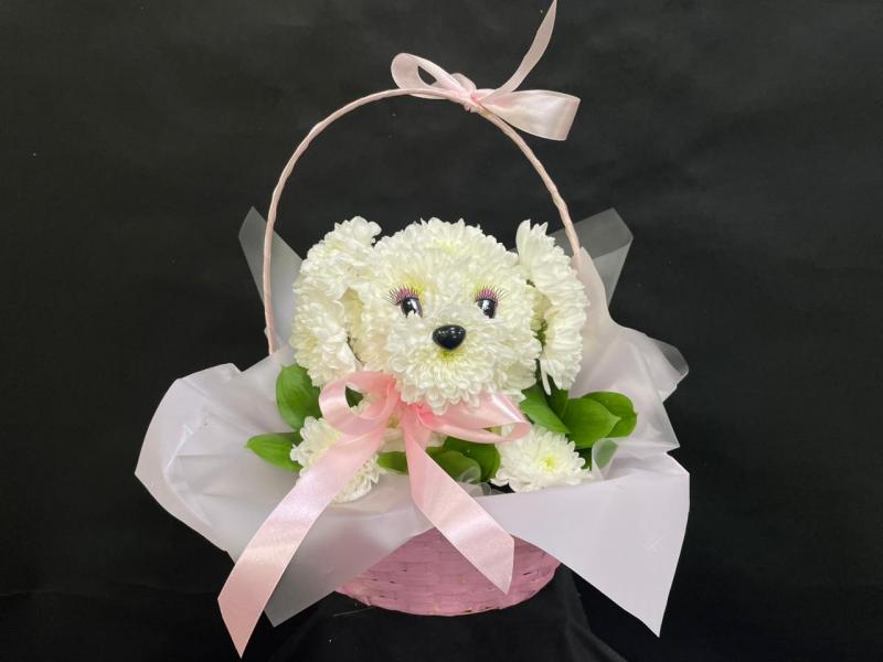 Собачка из живых цветов Маленький дружок