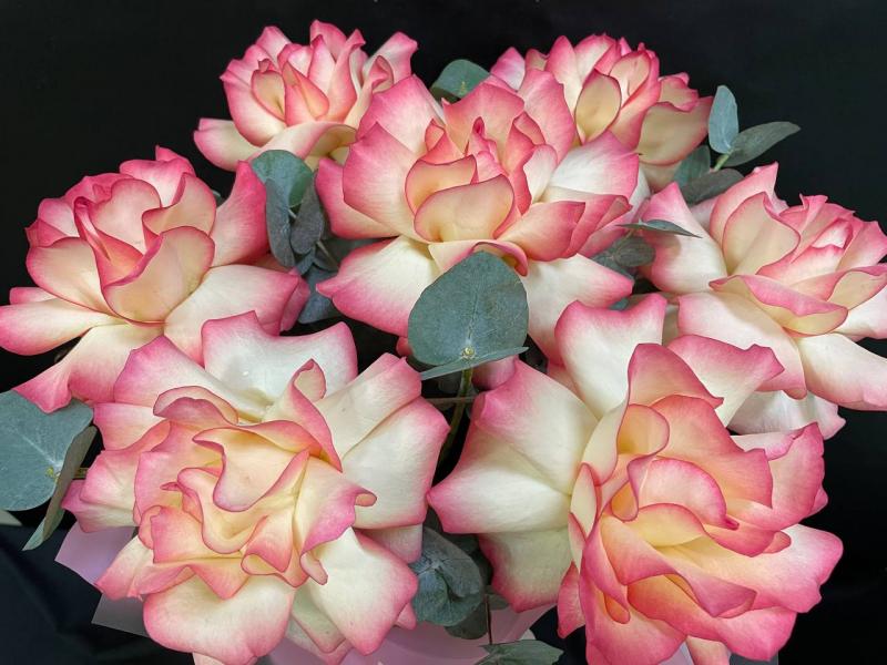 Цветы в шляпной коробке Французский поцелуй