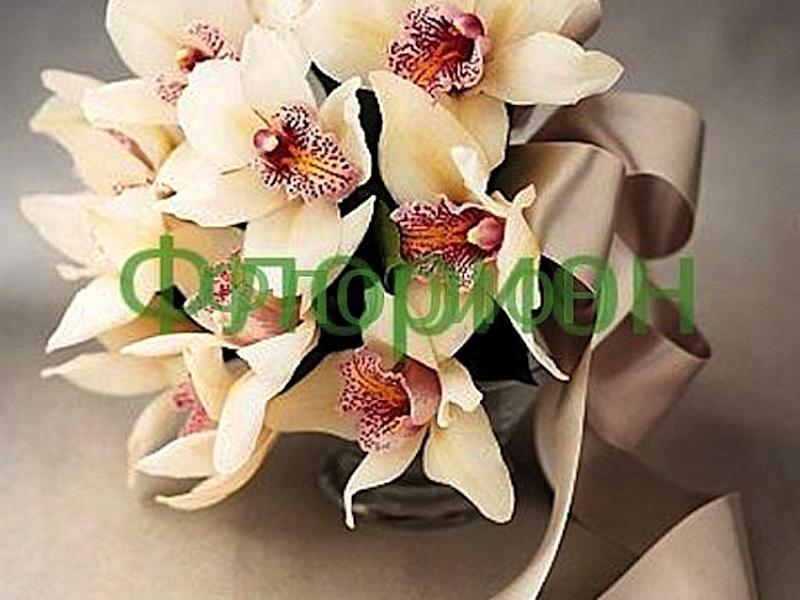 Свадебный букет с орхидеей Весенний снег