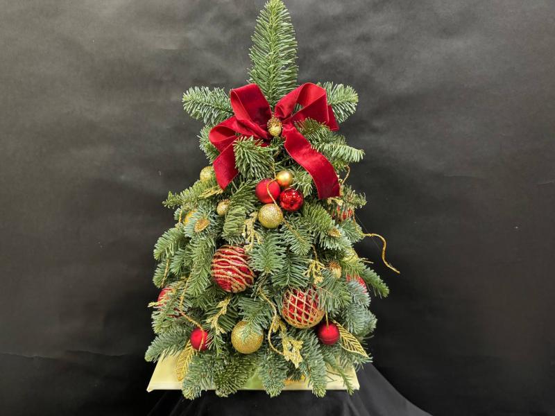 Красные узоры Композиция из нобилиса 