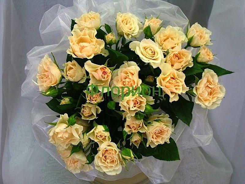 Букет невесты из роз Кремовый 2