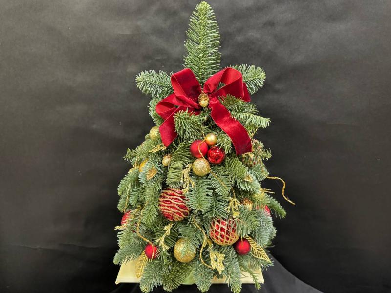 Красные узоры Композиция из нобилиса 