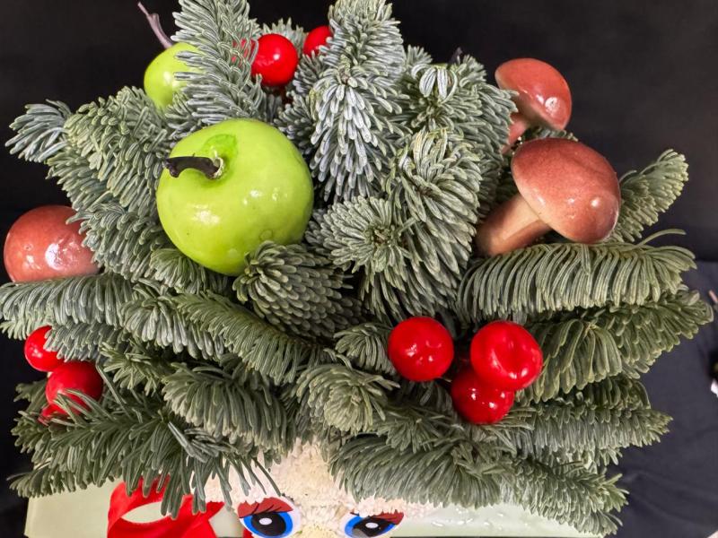 Гоша Ёжик из нобилиса живая ель