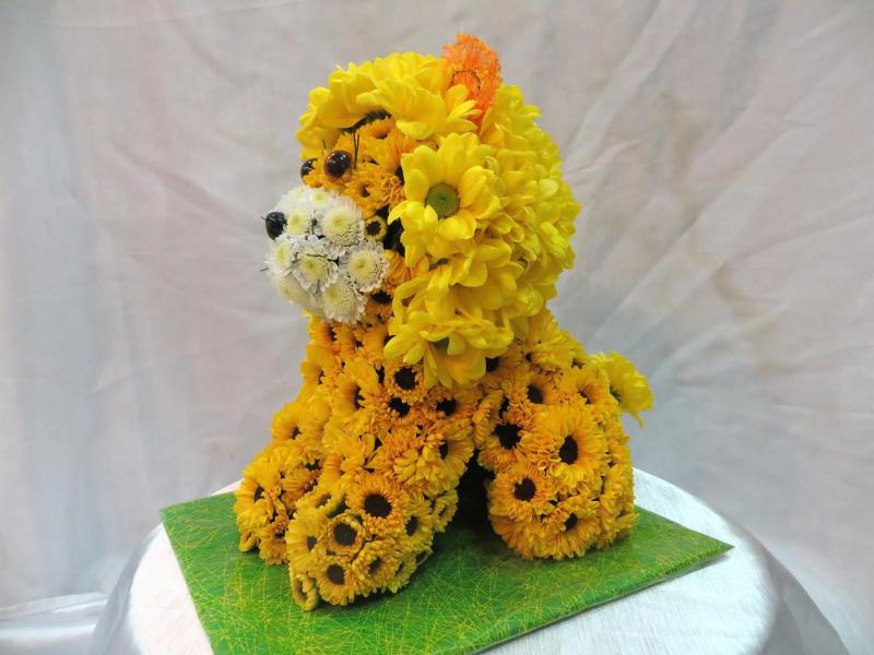 Кошка из цветов Веселый лев