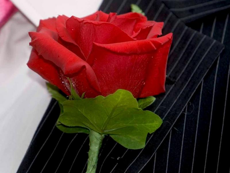 Бутоньерка жениха Красная роза