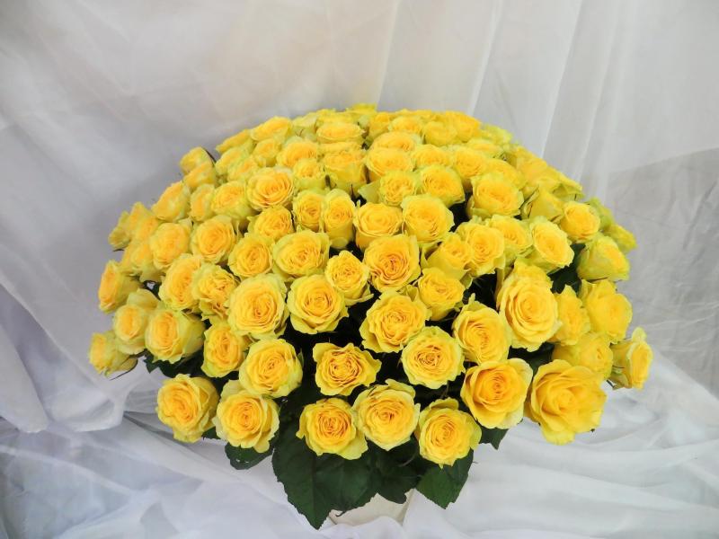 Букет цветов 101 роза солнечный любви