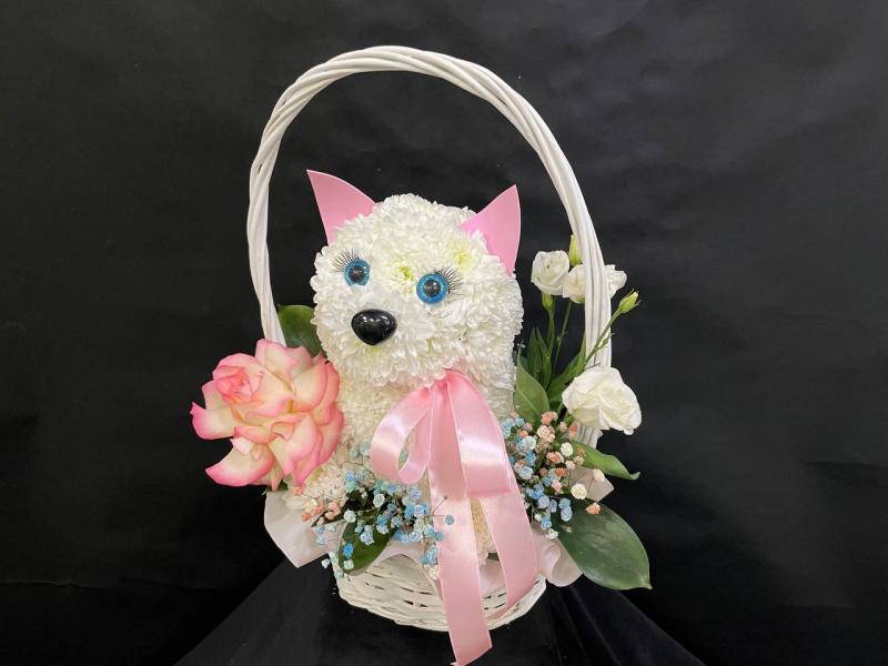  Собачка из цветов Прекрасный день дружбы