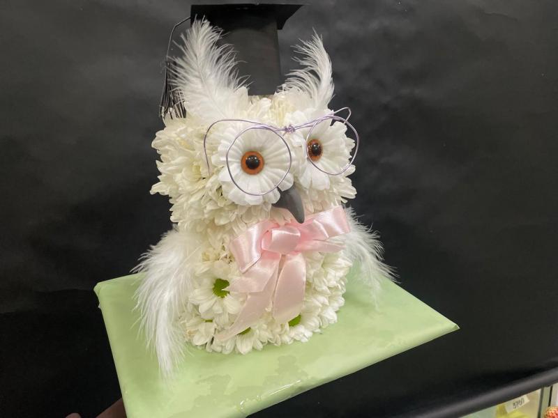 Полет разума Сова из цветов