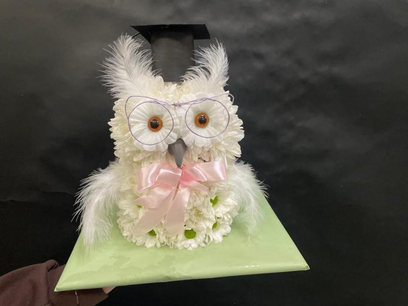 Полет разума Сова из цветов