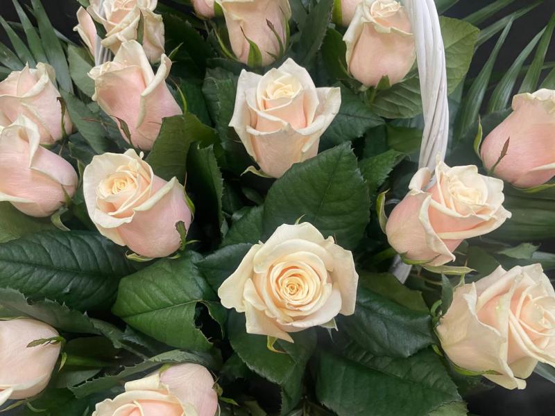 Корзина из роз Тепло родной души