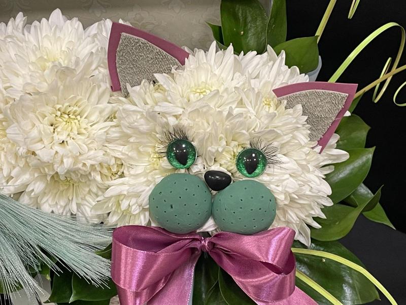 Котенок в коробке Ими греется духа
