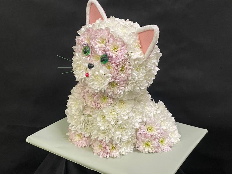 Котик из цветов Ангел снаружи