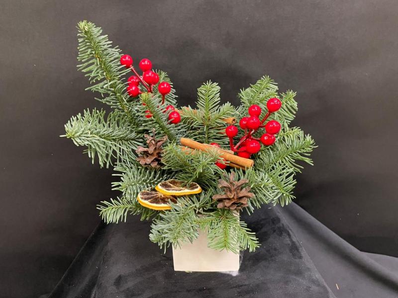 Напевы вьюги 1 Новогодняя композиция из нобилиса 