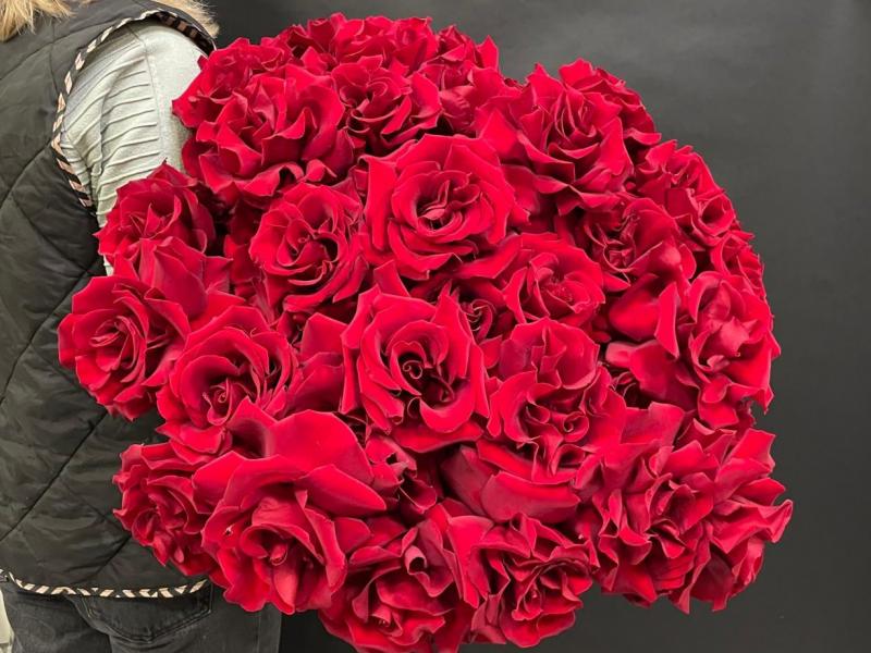 Букет из роз Бархатным, благодатным светом