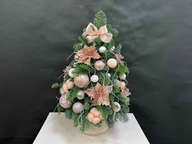 Удача в дом Композиция из нобилиса 