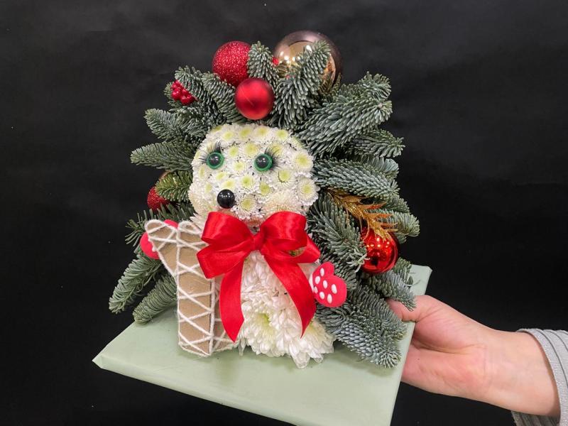 Страж лесной Ёжик из нобилиса живая ель