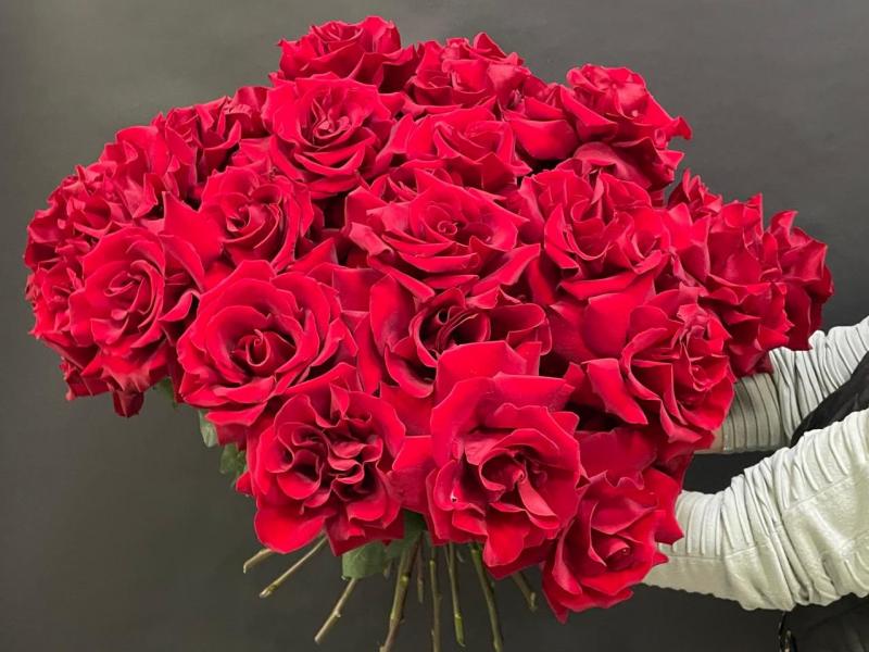 Букет из роз Бархатным, благодатным светом