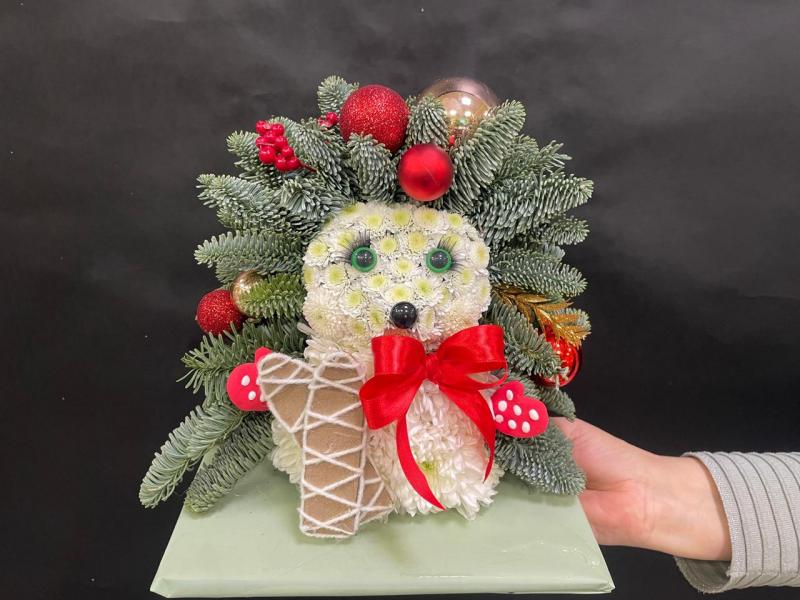 Страж лесной Ёжик из нобилиса живая ель