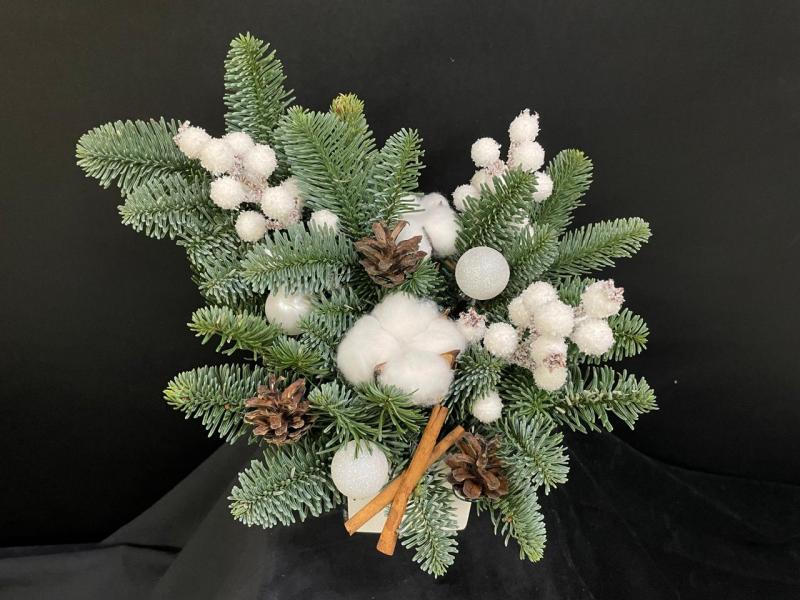 Напевы вьюги Новогодняя композиция из нобилиса 