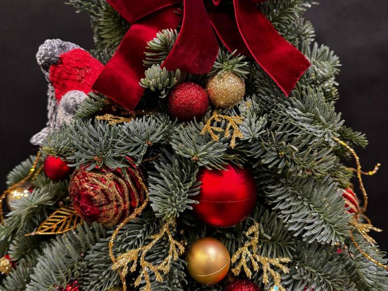 Красные узоры 1 Композиция из нобилиса 