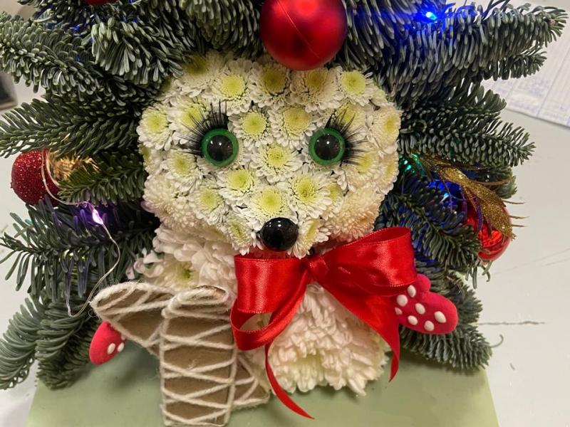 Страж лесной Ёжик из нобилиса живая ель