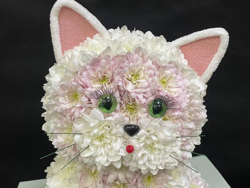 Котик из цветов Ангел снаружи
