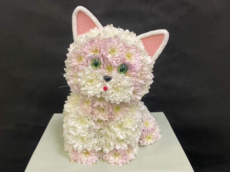 Котик из цветов Ангел снаружи