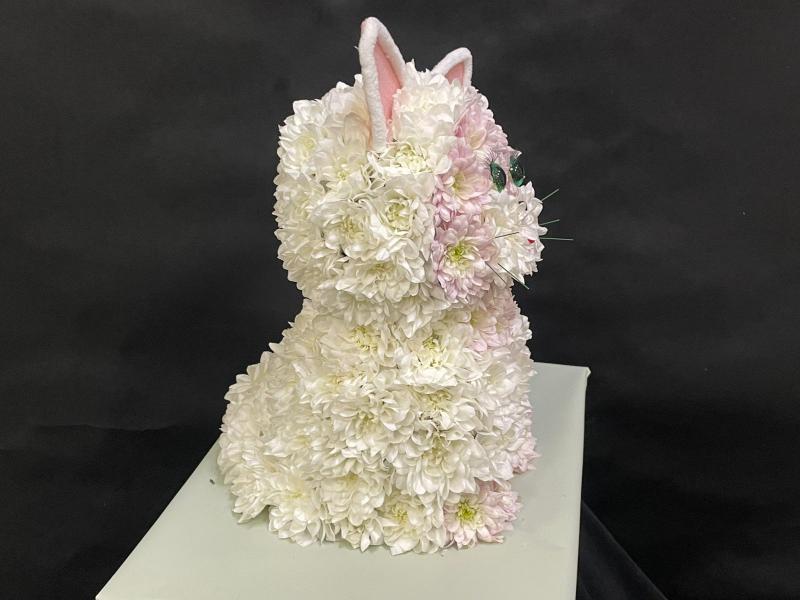 Котик из цветов Ангел снаружи