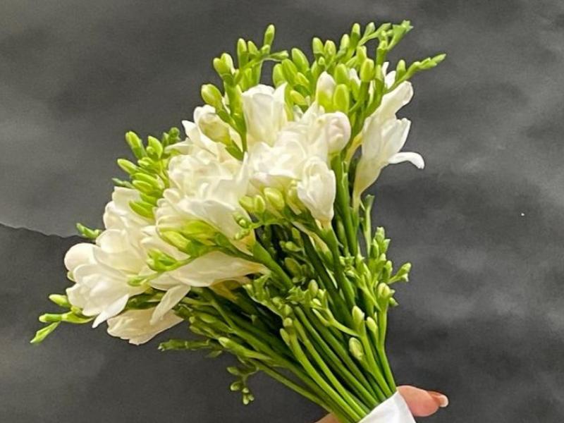 Букет невесты из фрезий Яблоня в цвету