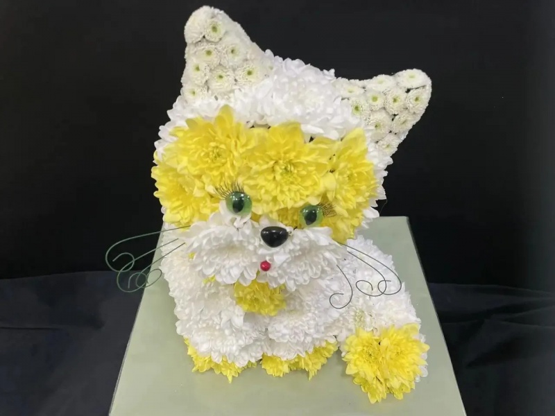 Котик из живых цветов Ласковое солнышко