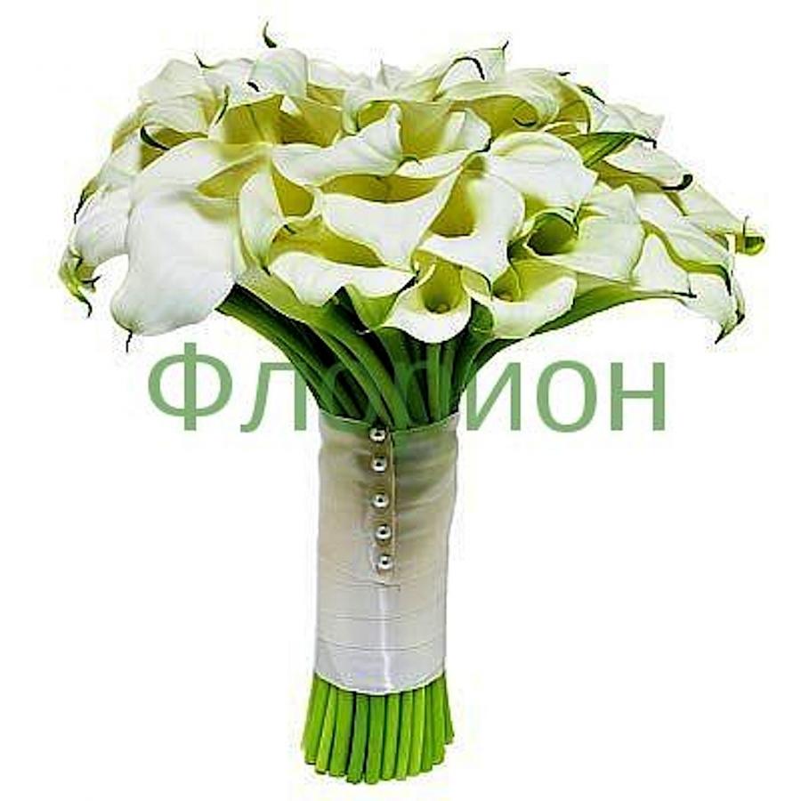 Коалы Цветы Купить